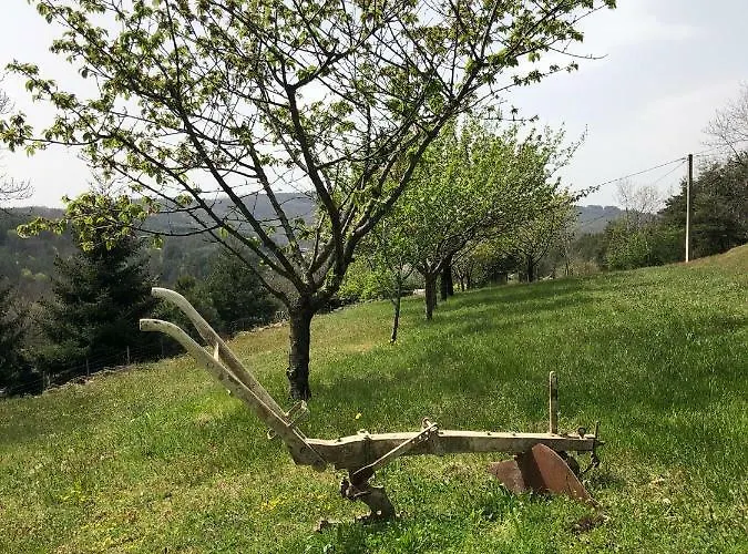 Chateau Rousset * Saint-Apollinaire-de-Rias