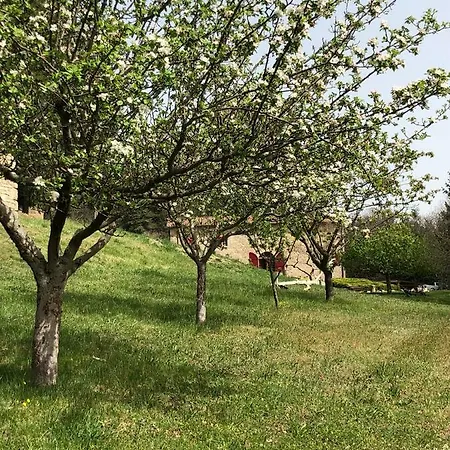Chateau Rousset